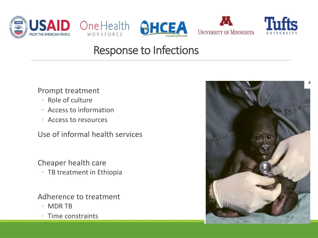 response to infections response to infections