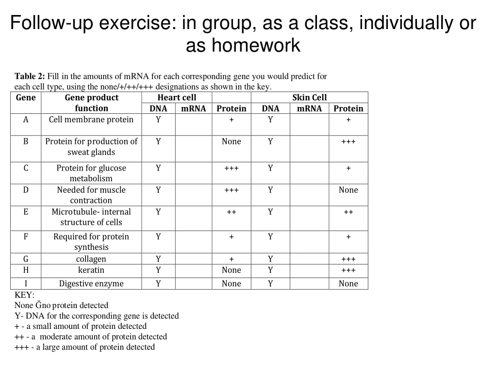 follow up exercise in group as a class