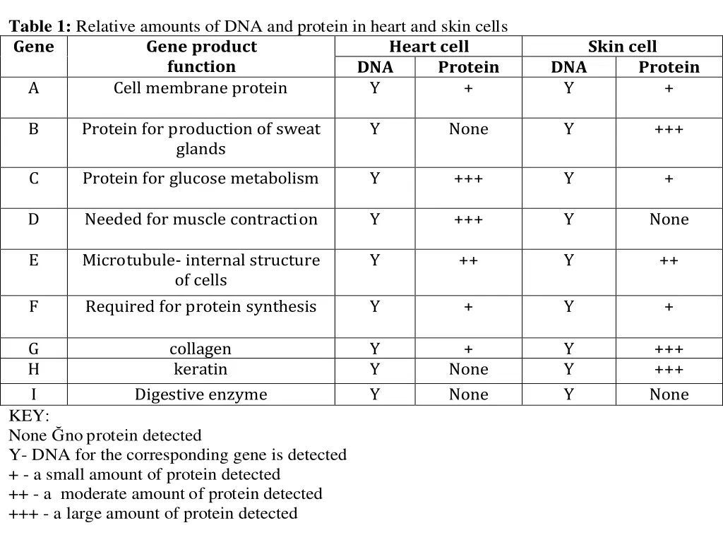 table 1 relative amounts of dna and protein