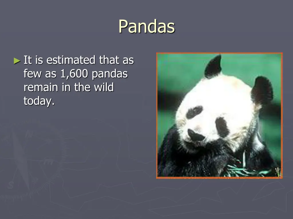 pandas