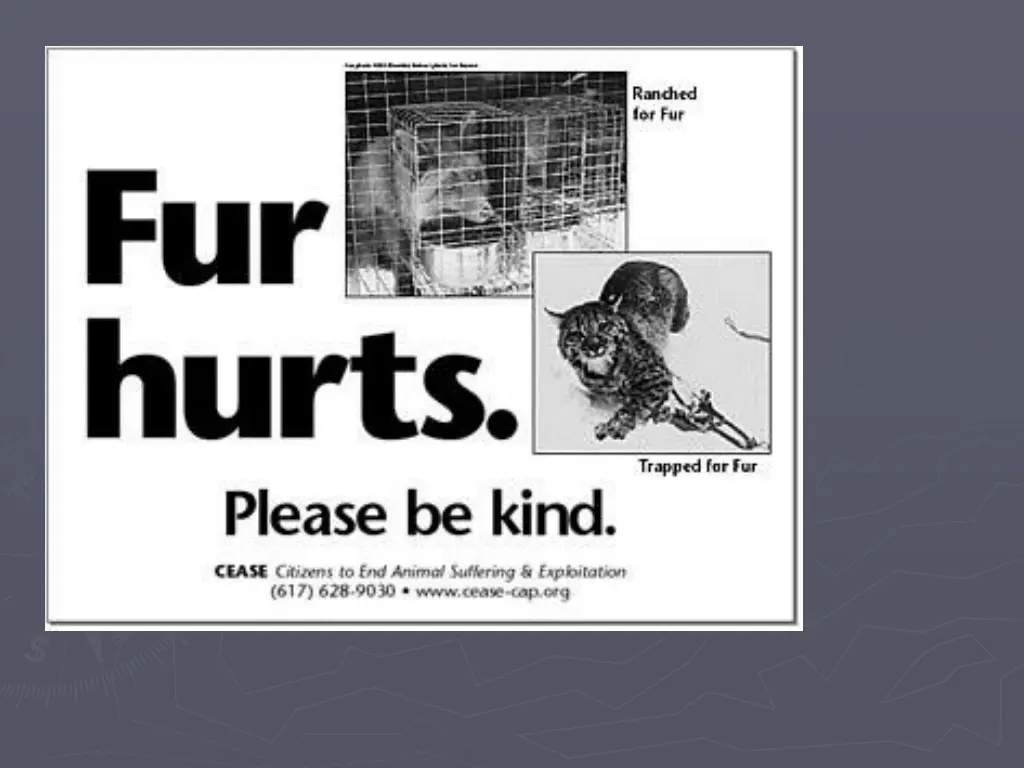 slide17