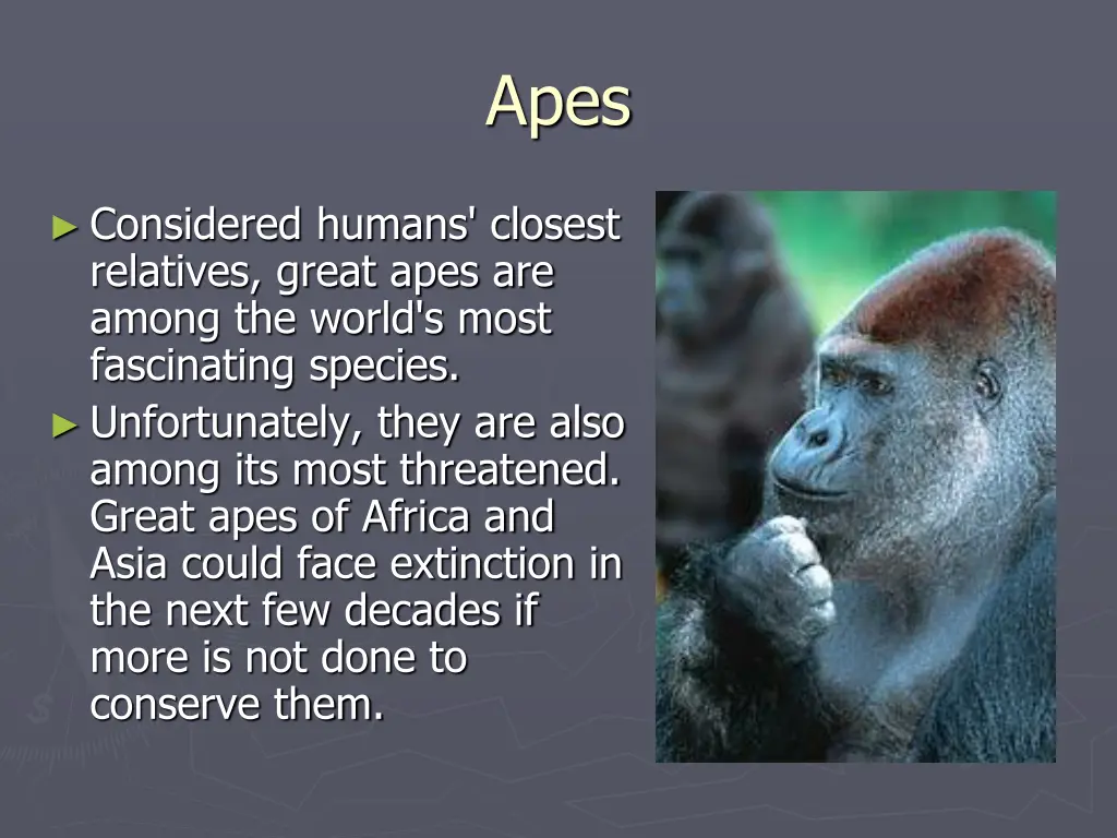 slide5