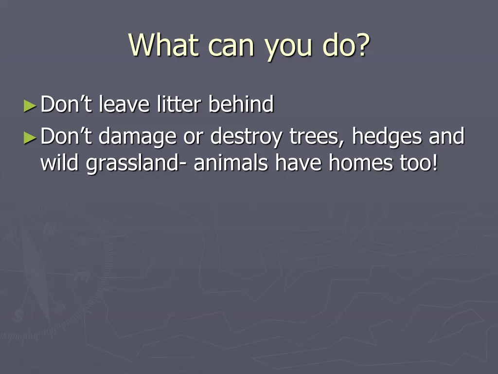 what can you do