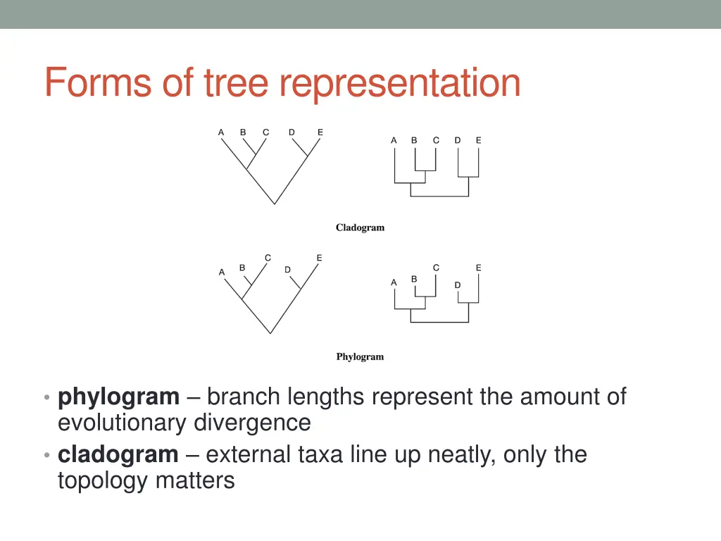forms of tree representation