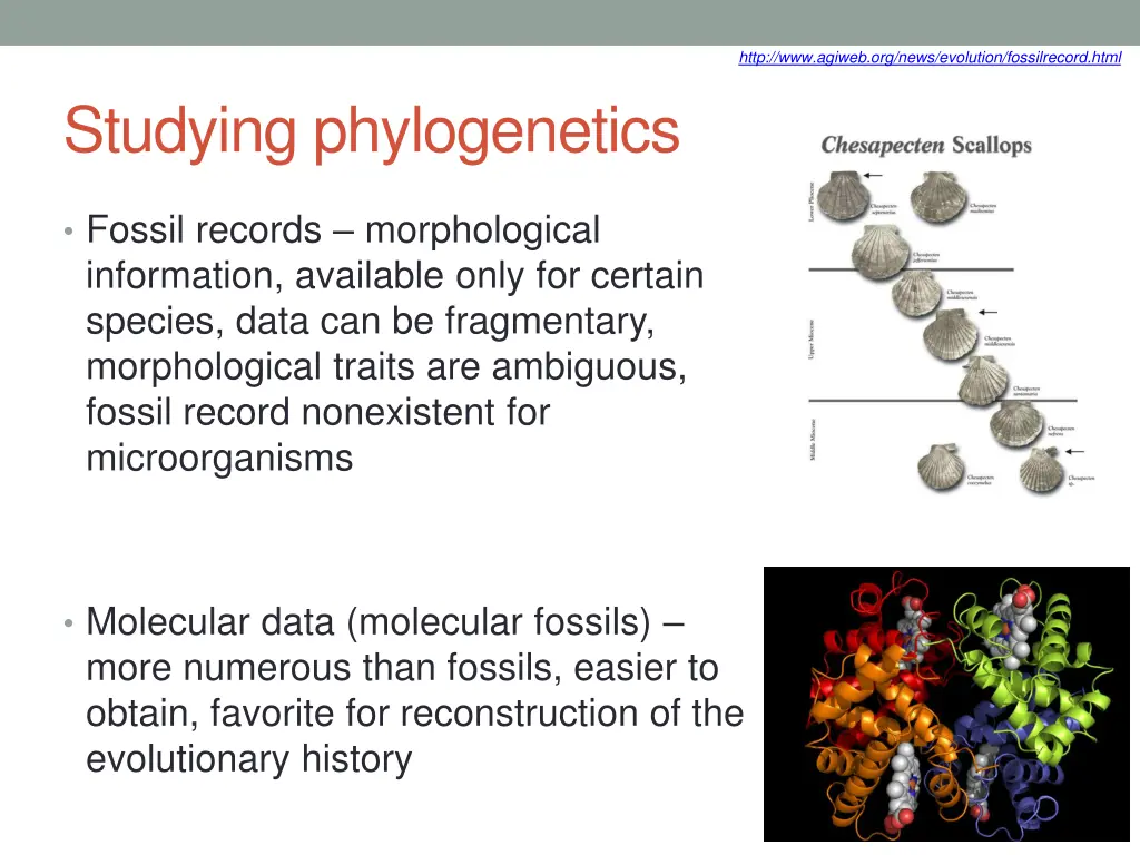 http www agiweb org news evolution fossilrecord