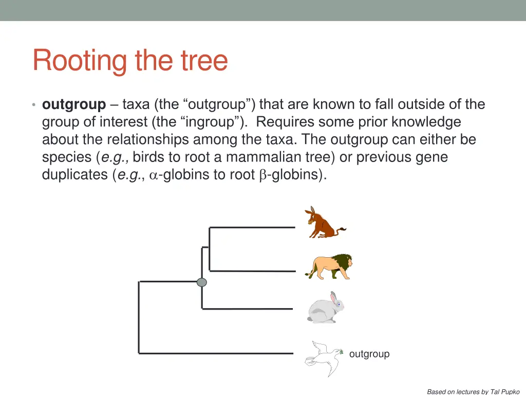rooting the tree 1