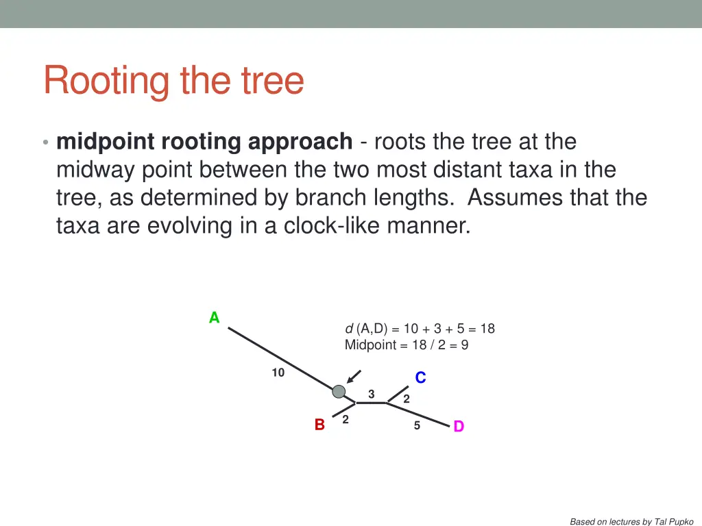 rooting the tree 2