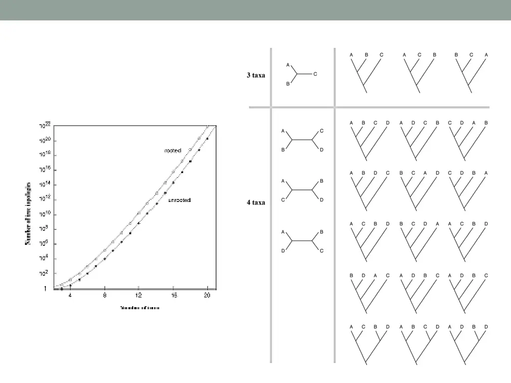 slide10