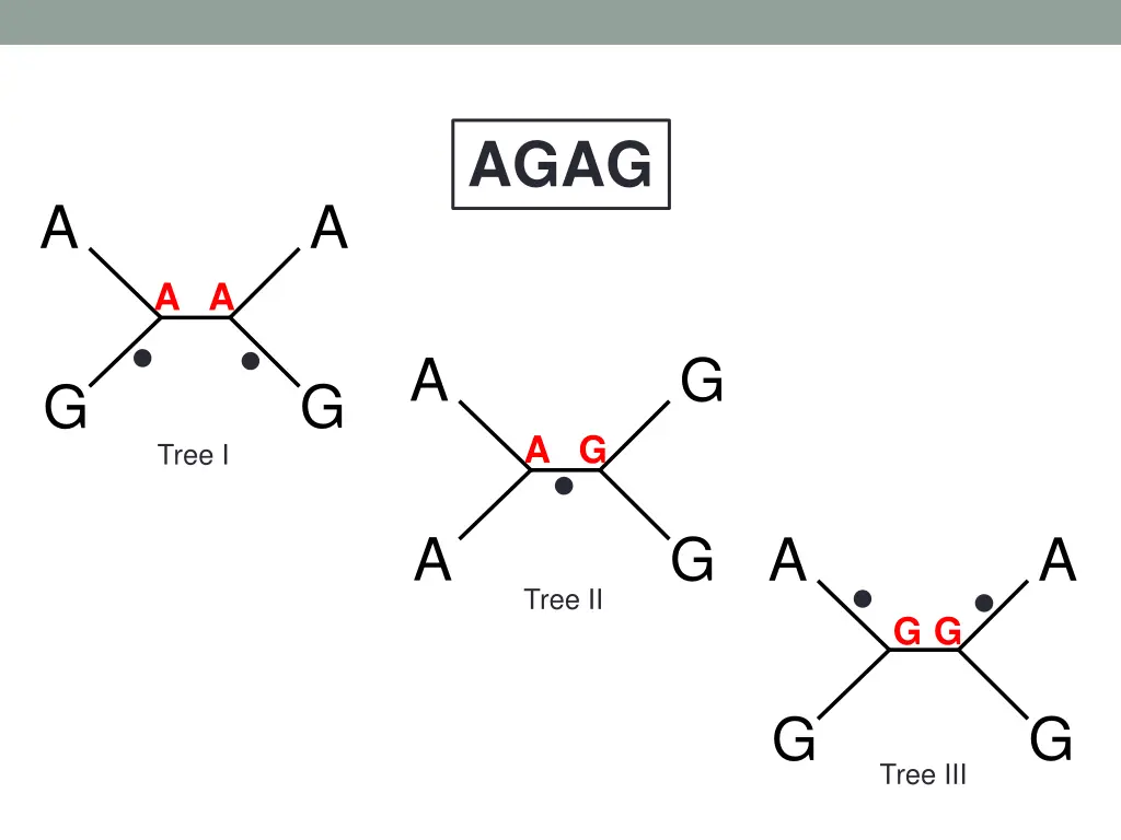 slide45