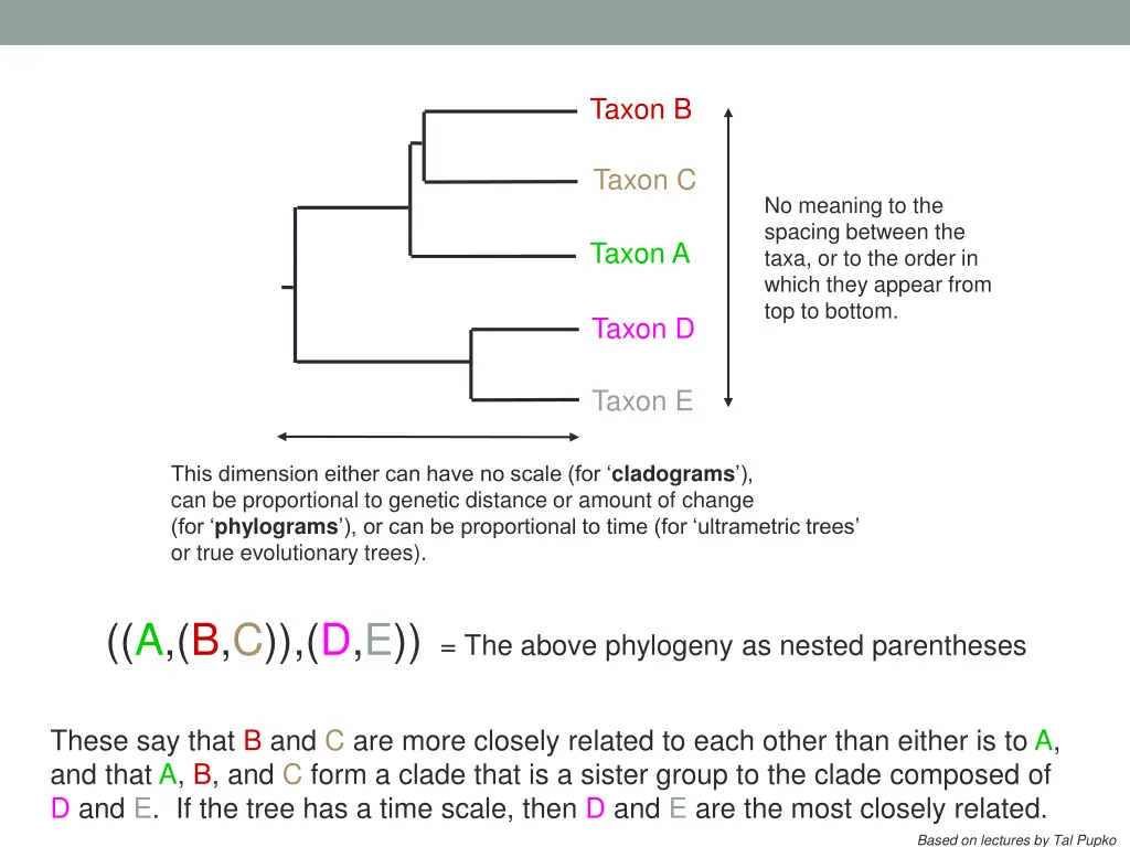 taxon b