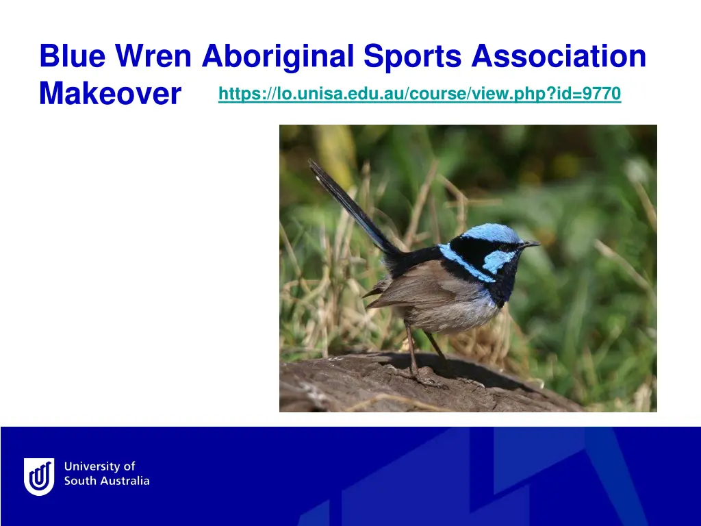 blue wren aboriginal sports association makeover