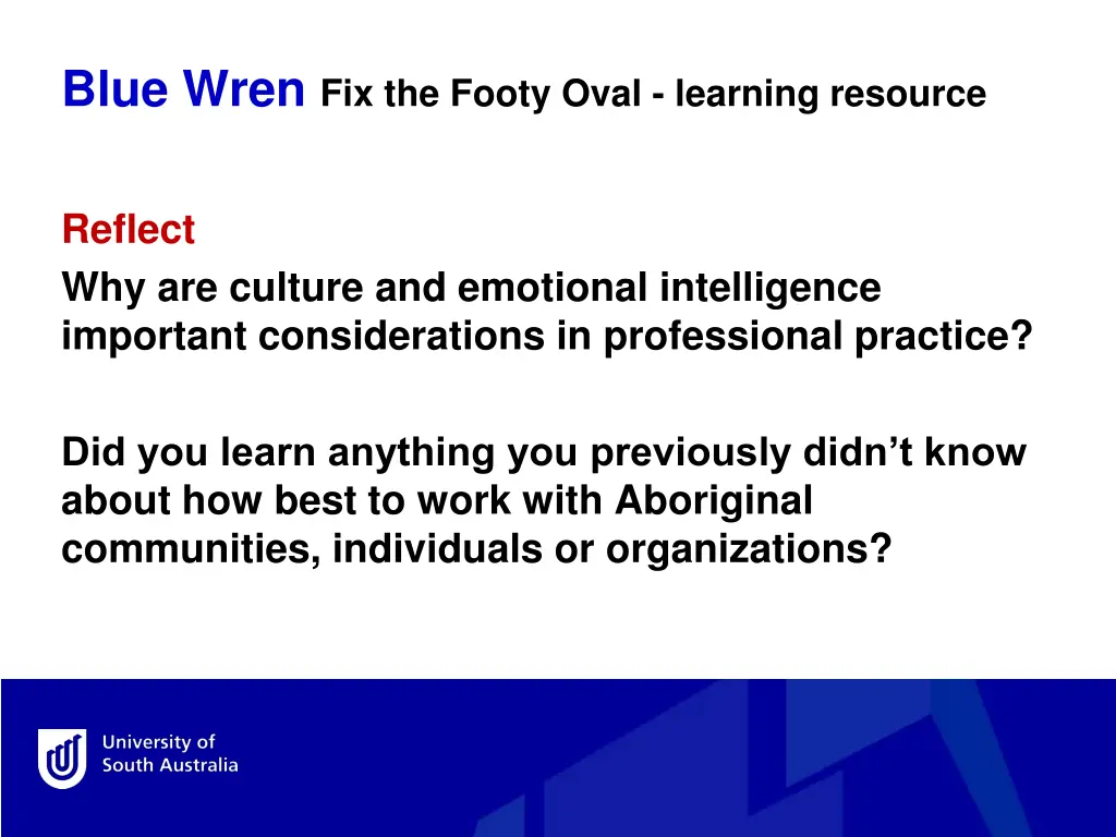 blue wren fix the footy oval learning resource 3