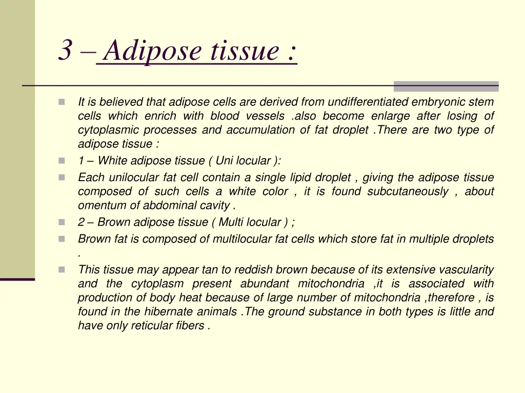 3 adipose tissue