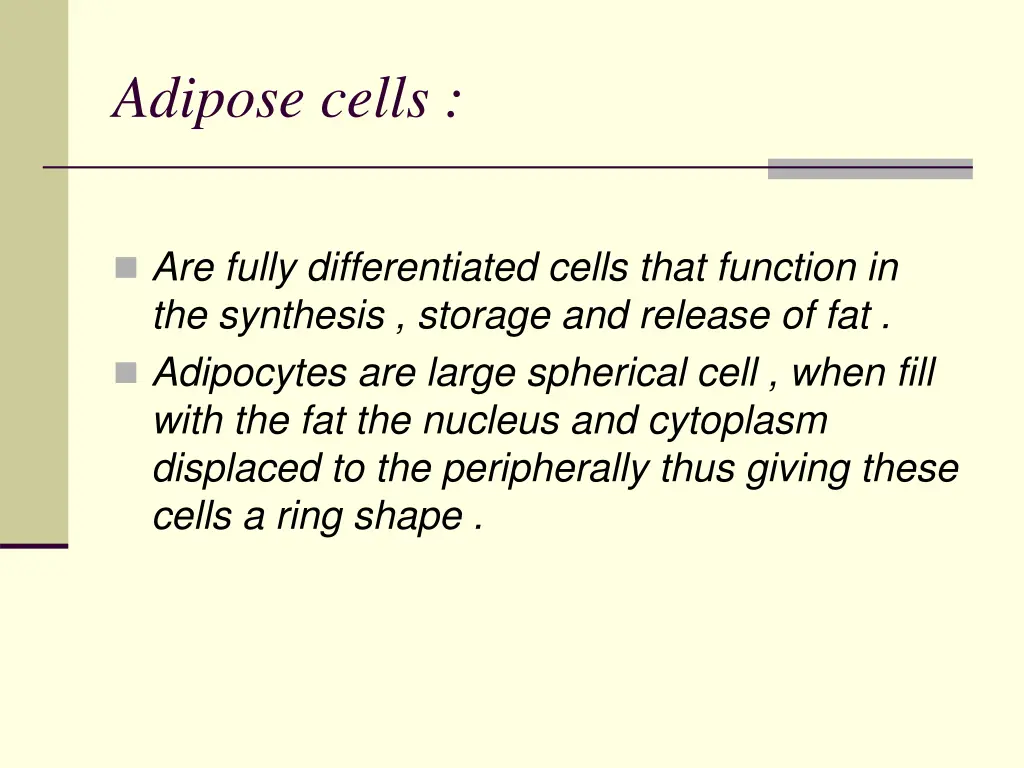 adipose cells