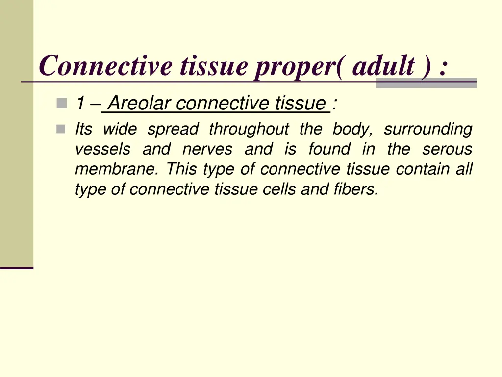 connective tissue proper adult
