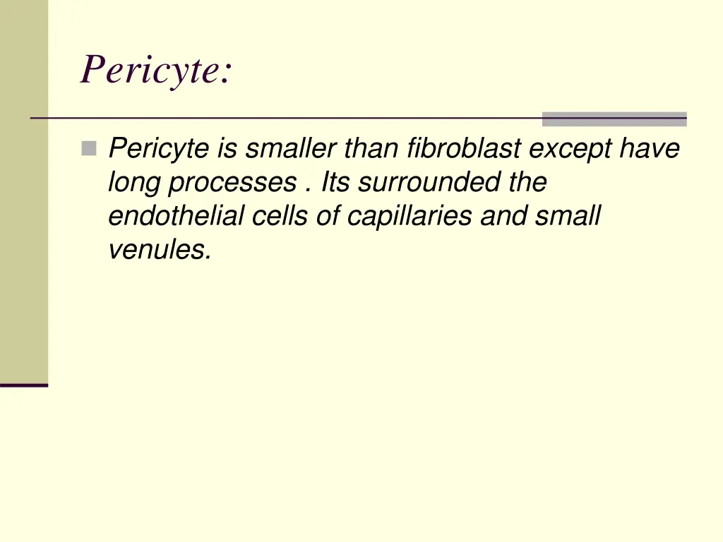 pericyte