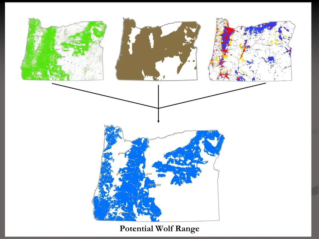 potential wolf range