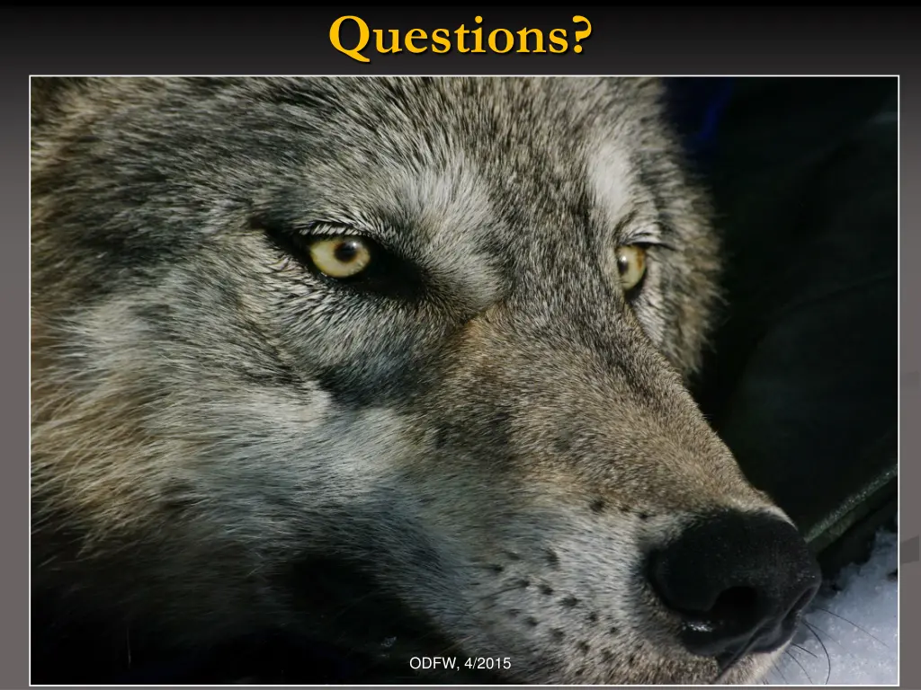 questions