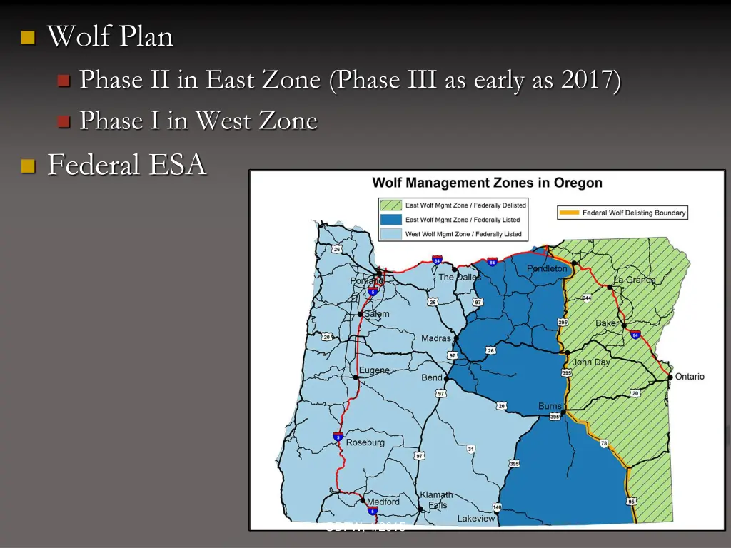 wolf plan phase ii in east zone phase