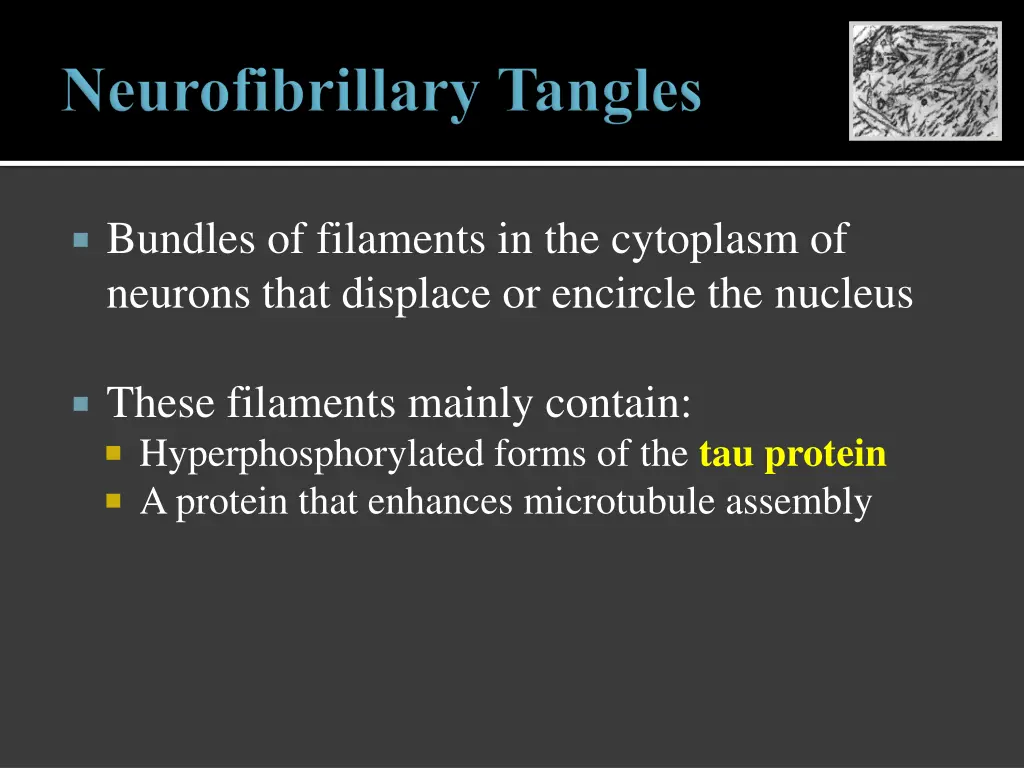 bundles of filaments in the cytoplasm of neurons