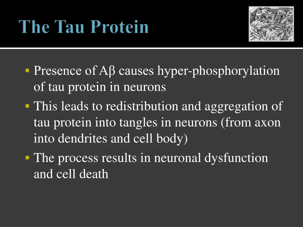 presence of a causes hyper phosphorylation