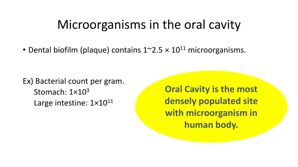 microorganisms in the oral cavity