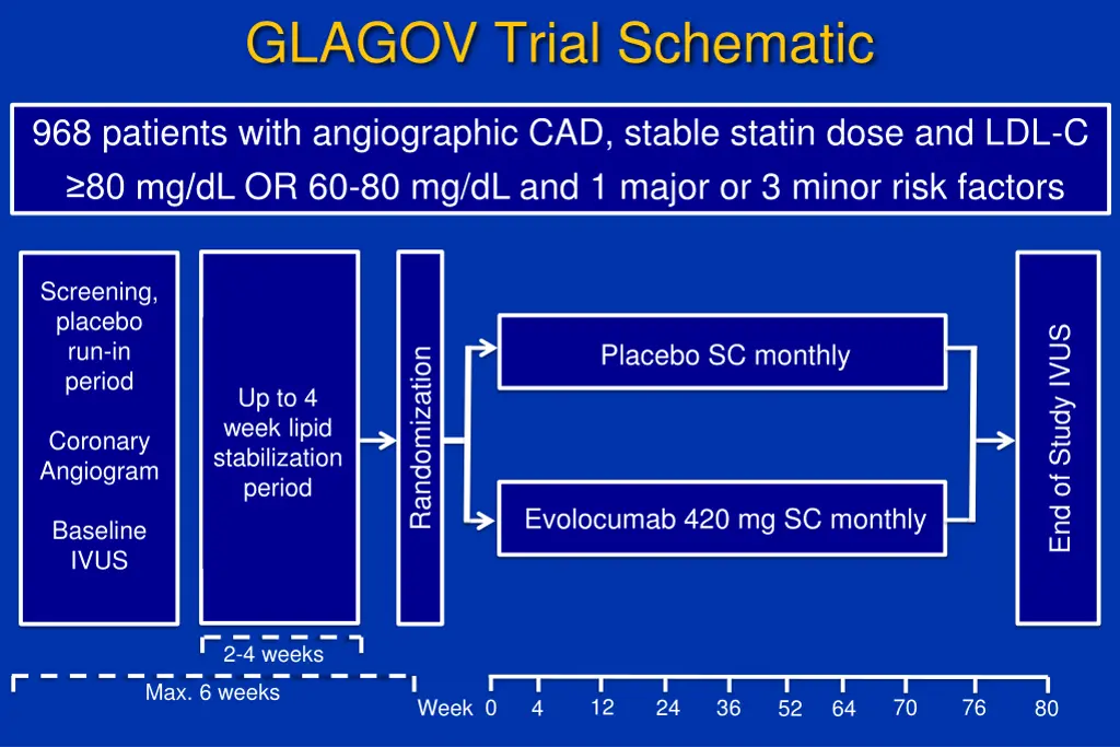 glagov trial schematic
