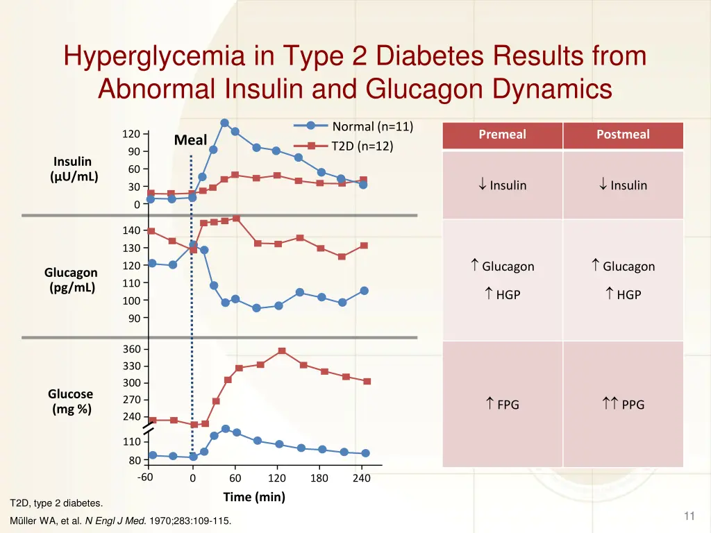 hyperglycemia in type 2 diabetes results from