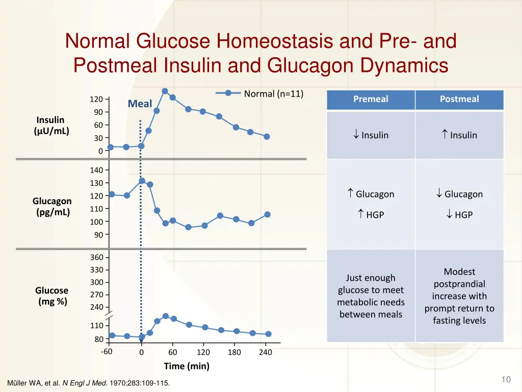 normal glucose homeostasis and pre and postmeal