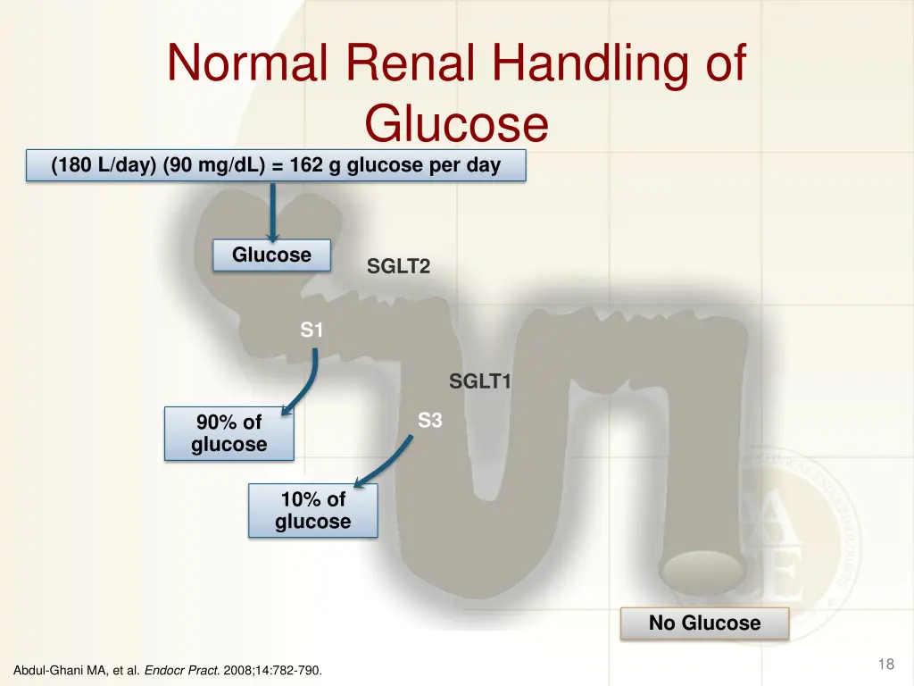 normal renal handling of glucose
