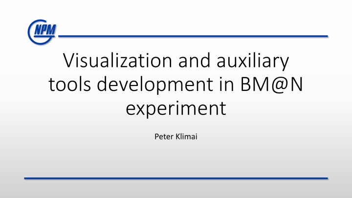 visualization and auxiliary tools development