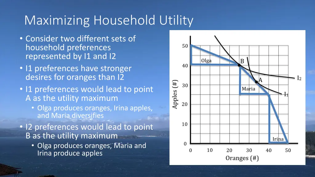 maximizing household utility