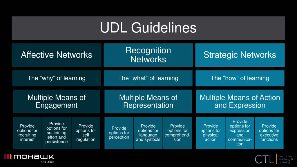 udl guidelines
