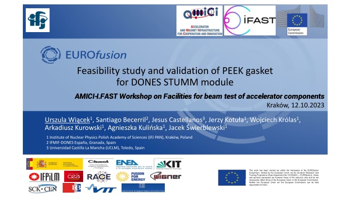 feasibility study and validation of peek gasket