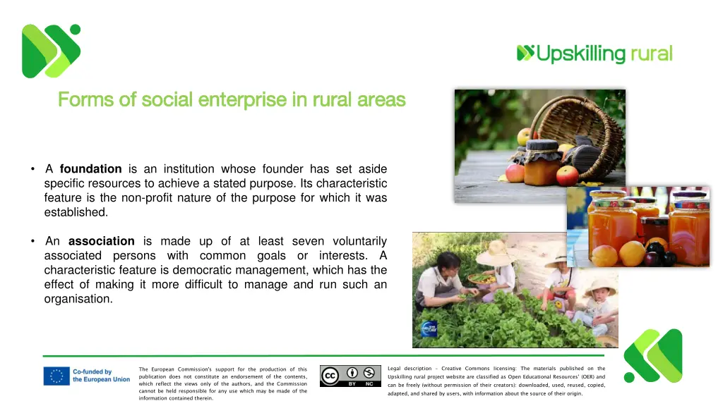 forms of social enterprise in rural areas forms 1