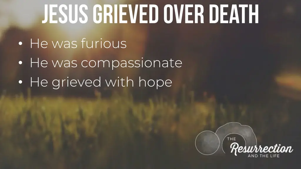 he was furious he was compassionate he grieved