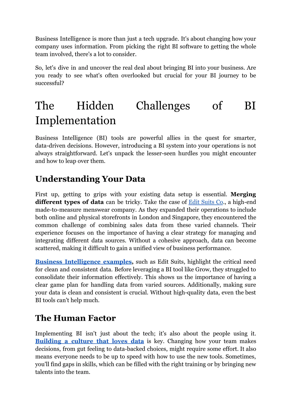 business intelligence is more than just a tech
