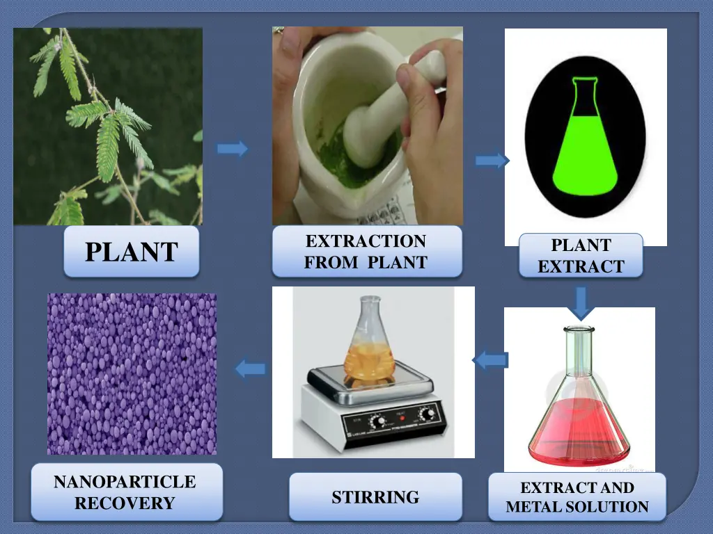 extraction from plant