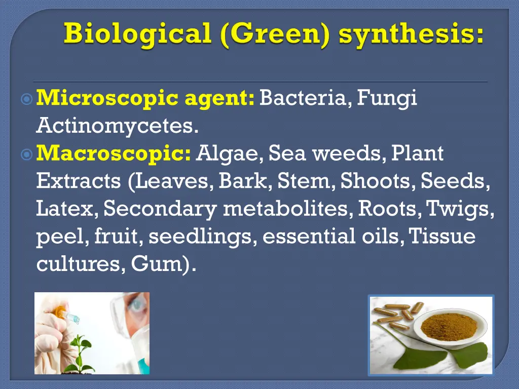microscopic agent bacteria fungi actinomycetes