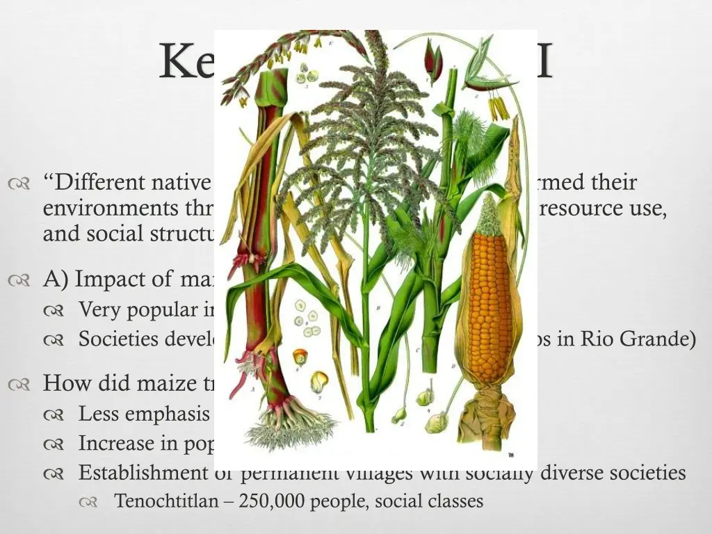 key concept 1 1 i