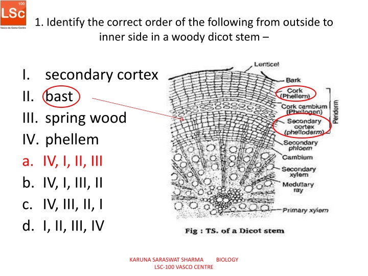 1 identify the correct order of the following