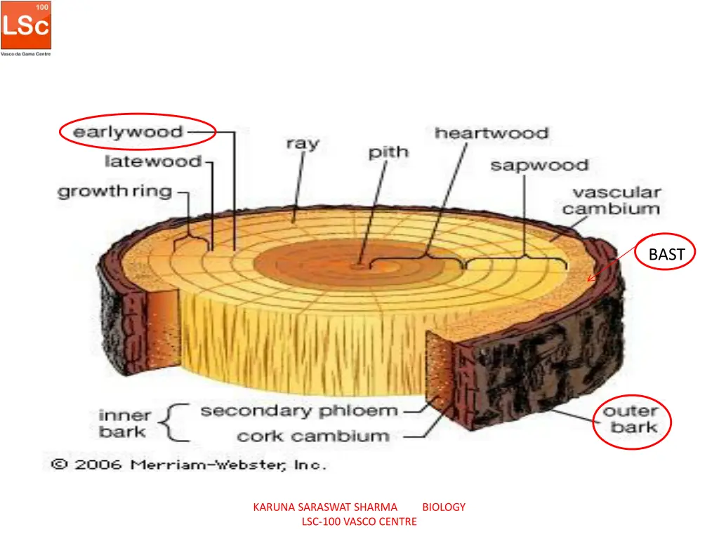 slide2