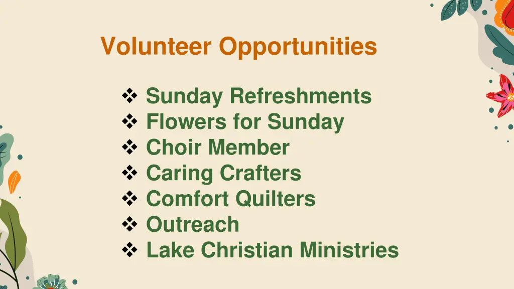 volunteer opportunities