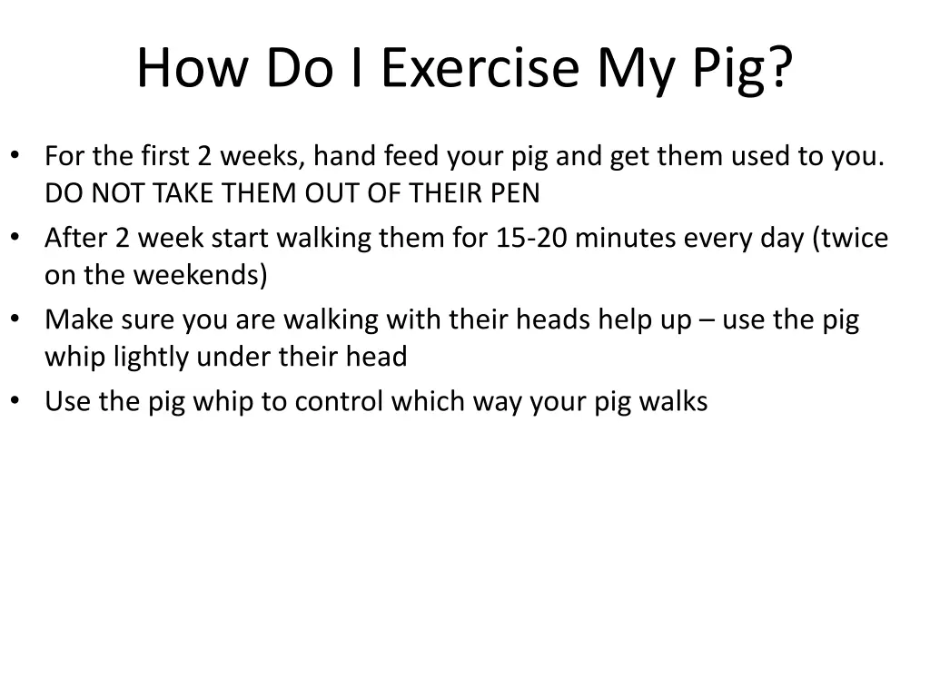how do i exercise my pig