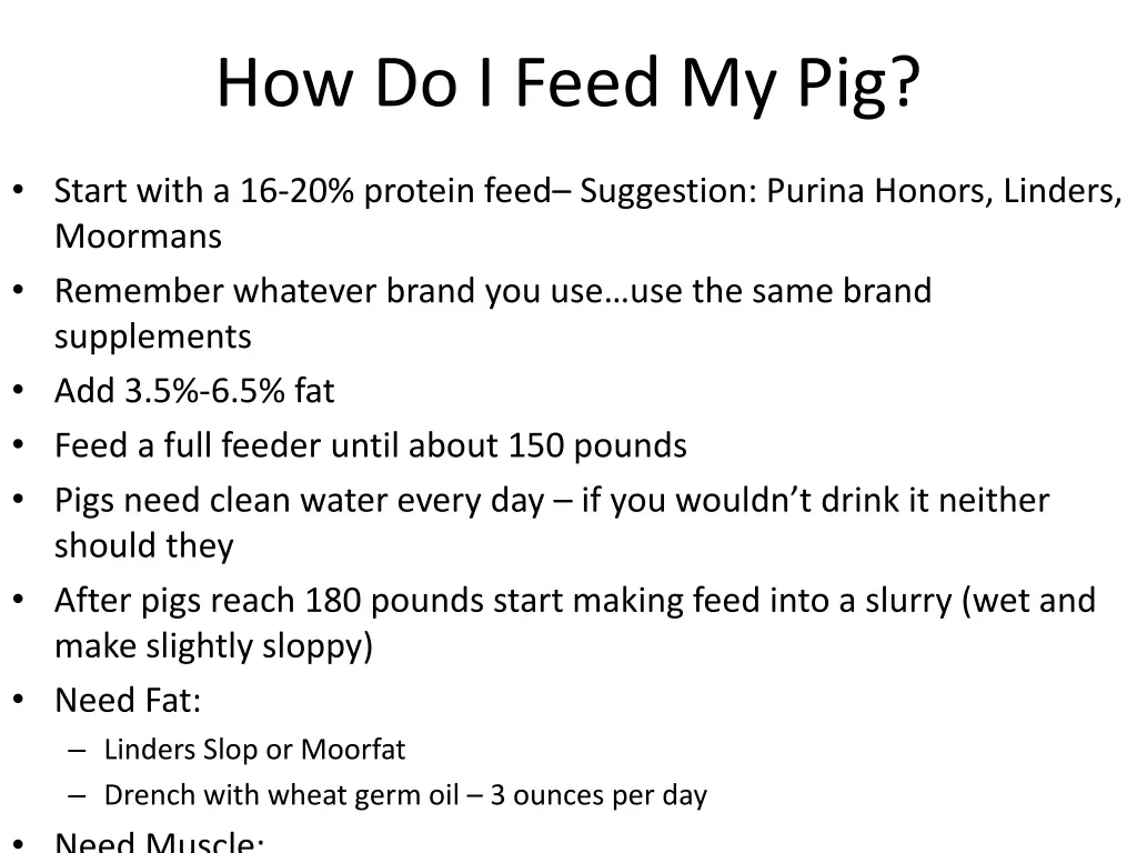 how do i feed my pig