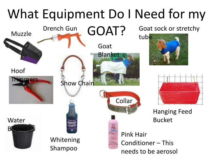 what equipment do i need for my goat muzzle