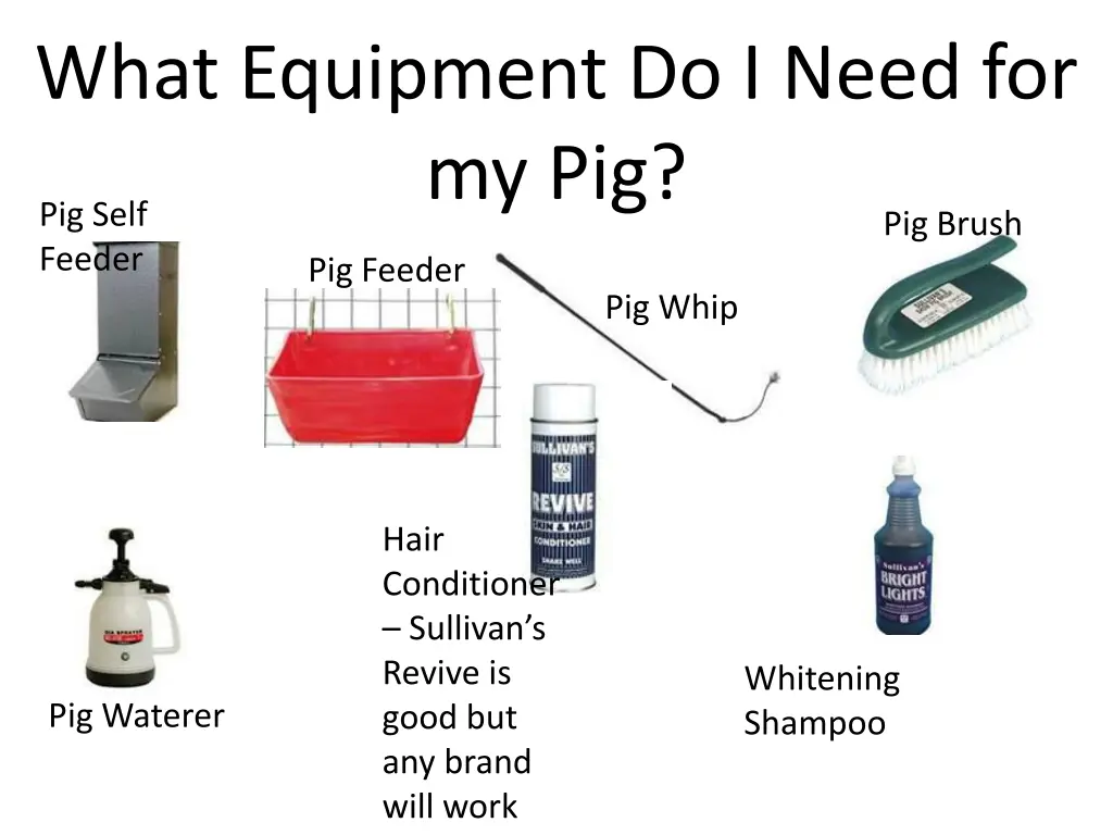 what equipment do i need for my pig pig self