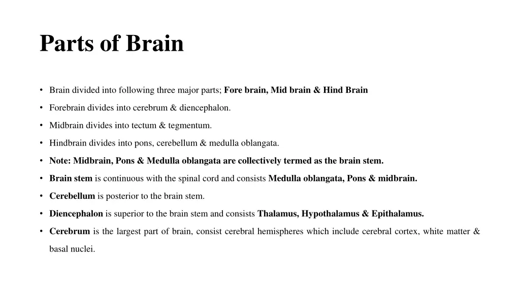 parts of brain