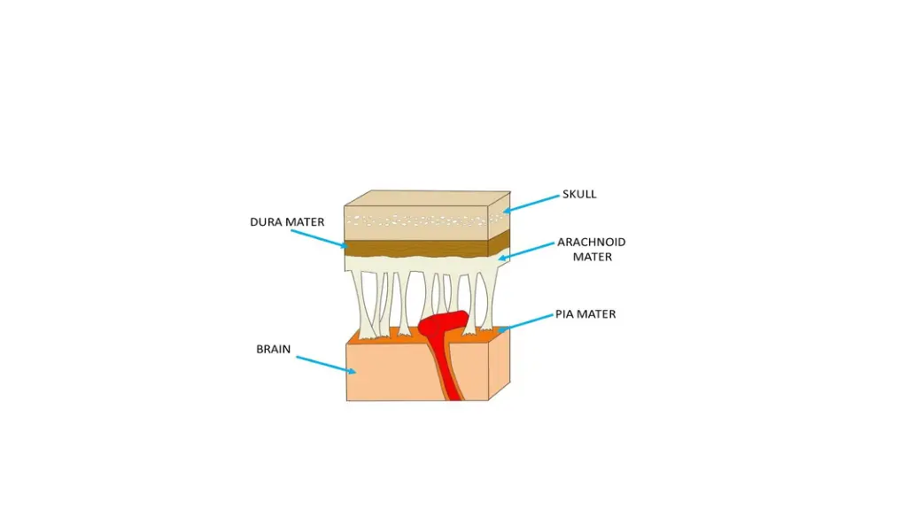 slide7