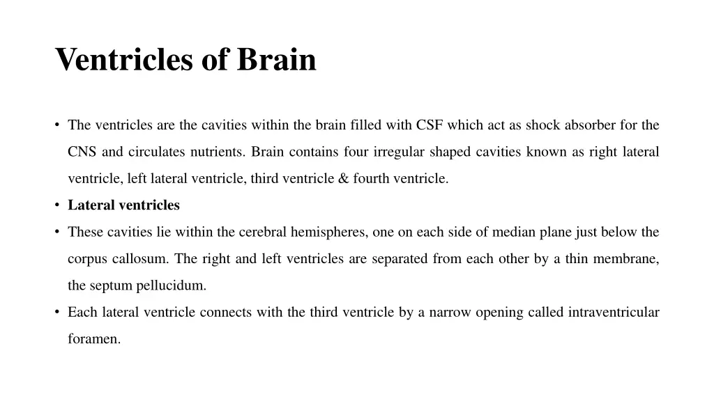 ventricles of brain